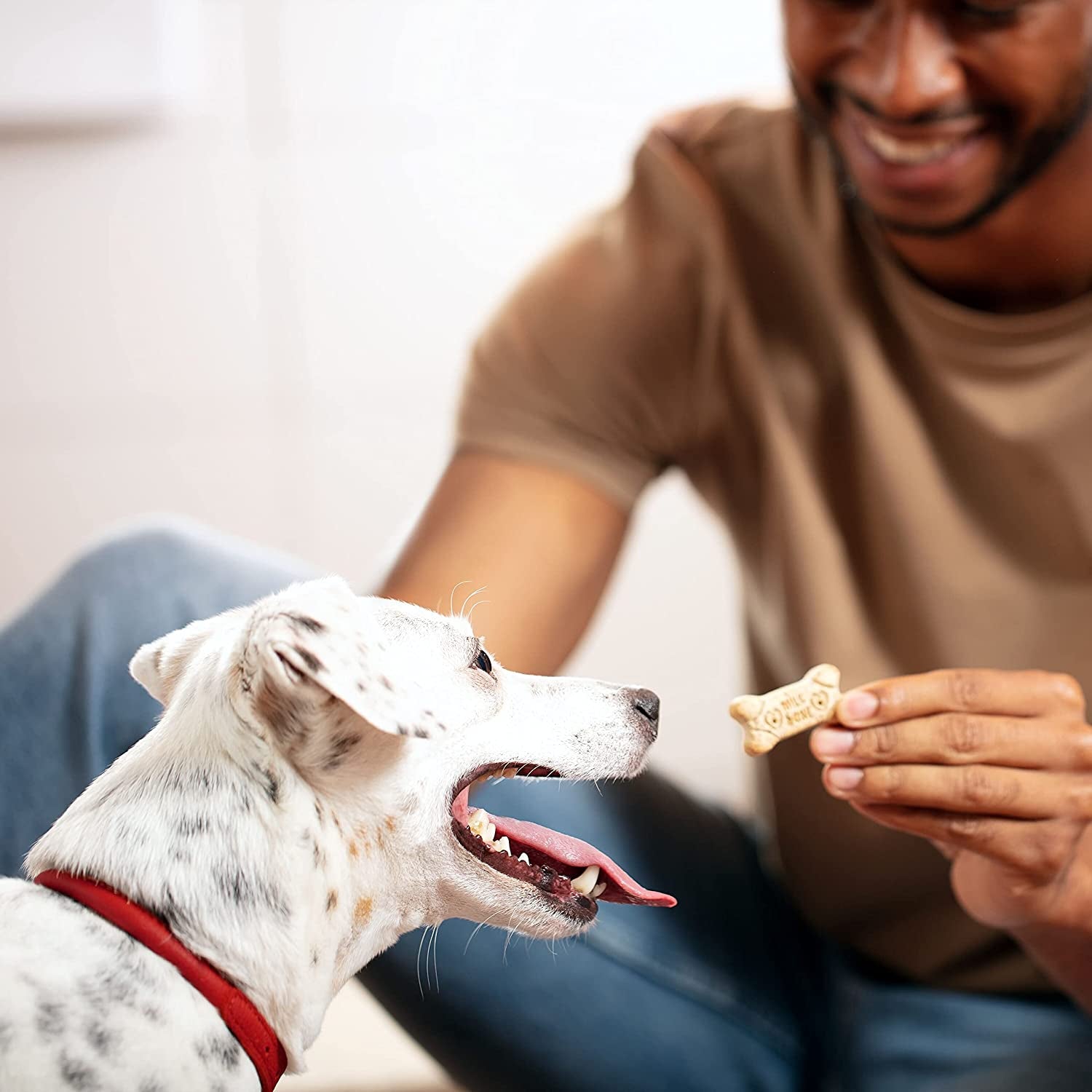 Milk-Bone Dog Treats Bundle: Original Biscuits for Medium Dogs 10 Pounds + Soft & Chewy Chicken 25 Ounce