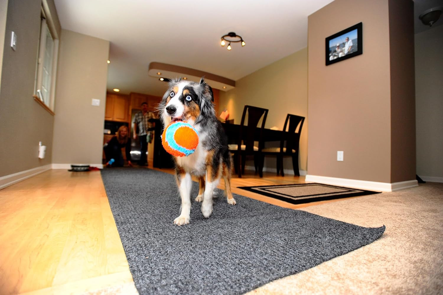 Chuckit Indoor Fetch Ball Dog Toy (4.75 Inch), Orange and Blue