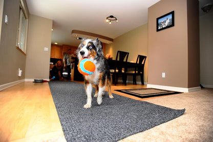 Chuckit Indoor Fetch Roller Dog Toy (7.5 Inch), Orange and Blue