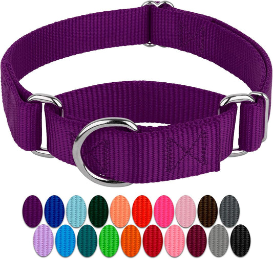 Country Brook Design - Purple Martingale Heavy Duty Nylon Dog Collar - 21 Vibrant Color Options (1 Inch Width, Large)