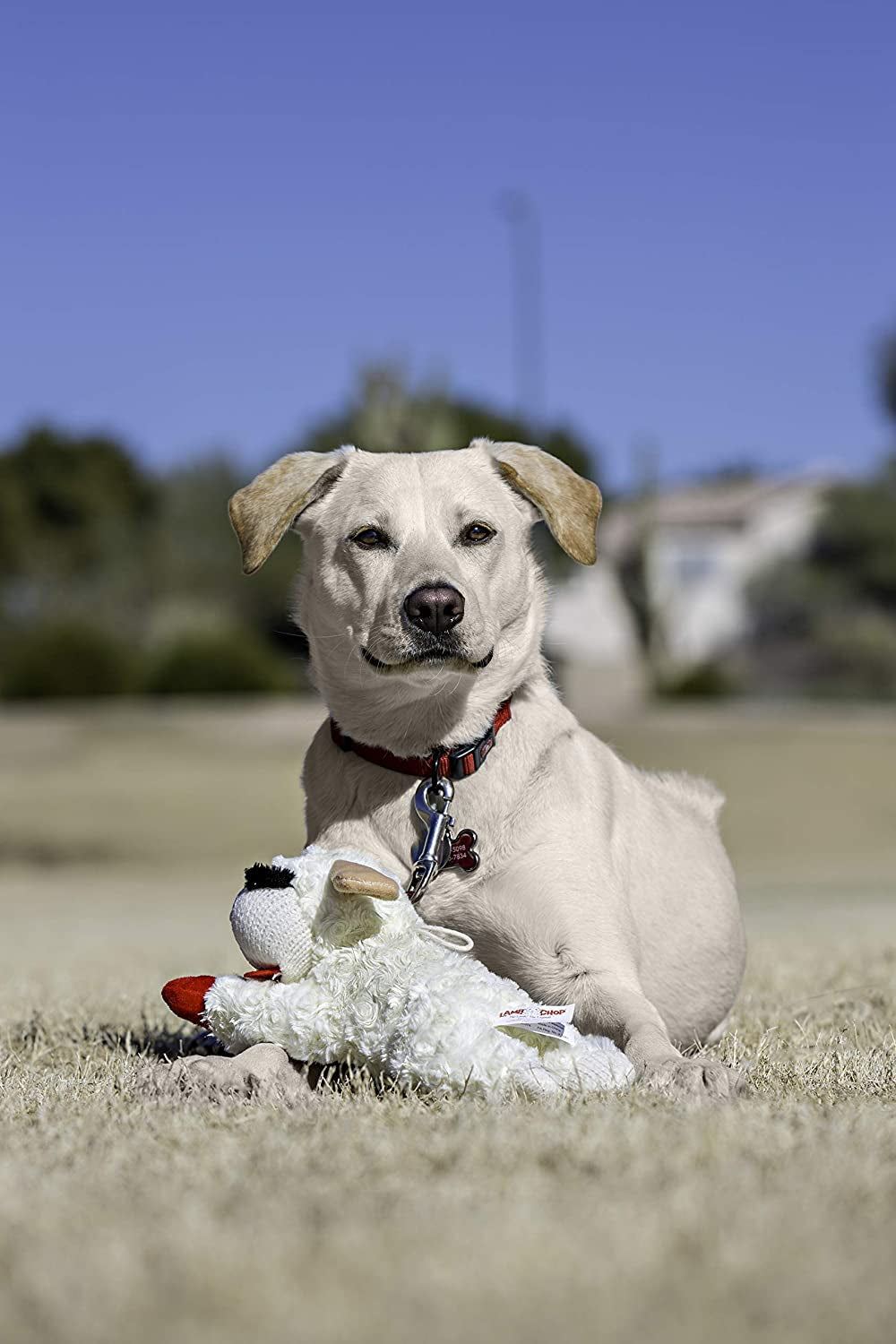 Multipet'S Officially Licensed Lamb Chop Jumbo White Plush Dog Toy, 24-Inch