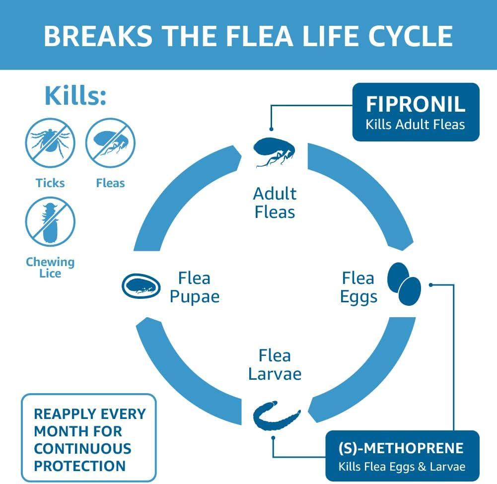 Amazon Basics Flea and Tick Topical Treatment for Medium Dogs (23-44 Pounds), 6 Count (Previously Solimo)