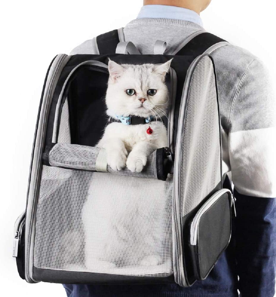 Texsens Pet Carrier Backpack with Window Blind for Small Cats Dogs, Ventilated Design, Safety Straps, Buckle Support, Collapsible, Designed for Travel, Hiking, Winter Outing, Outdoor, Go to Vet