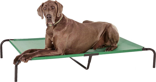 Amazon Basics Cooling Elevated Dog Bed with Metal Frame, X-Large, 60 X 37 X 9 Inch, Green