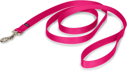 Petsafe Nylon Dog Leash - Strong, Durable, Traditional Style Leash with Easy to Use Bolt Snap - 3/4 In. X 6 Ft., Raspberry Pink