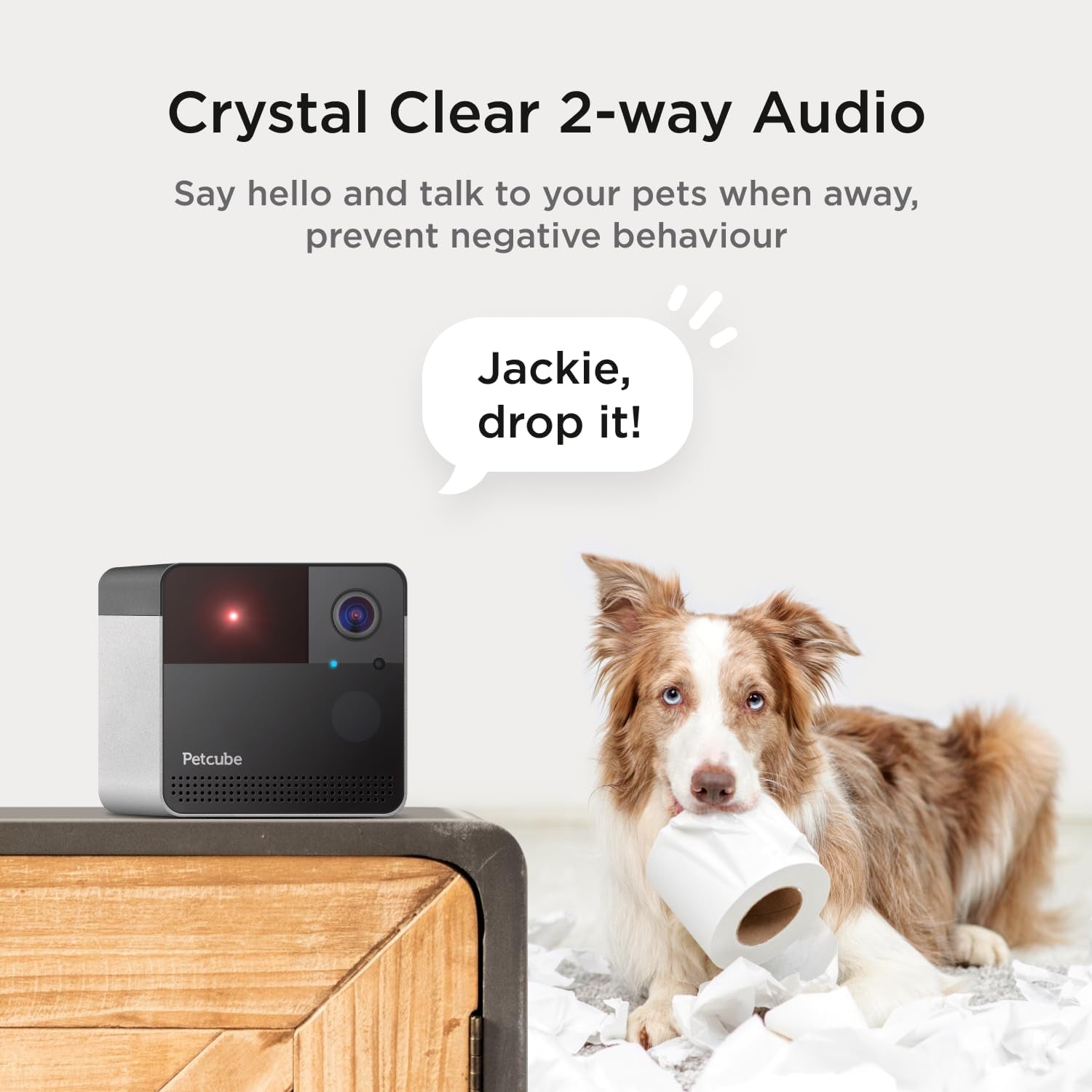 Petcube Play 2 Wi-Fi Pet Camera with Laser Toy for Cats & Dogs, 1080P HD Video, 160° Full-Room View, 2-Way Audio, Sound/Motion Alerts, Night Vision, Pet Monitoring App