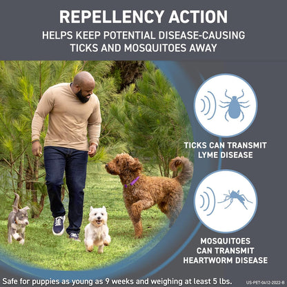 FRONTLINE Shield Flea & Tick Treatment for Large Dogs 41-80 Lbs., Count of 6