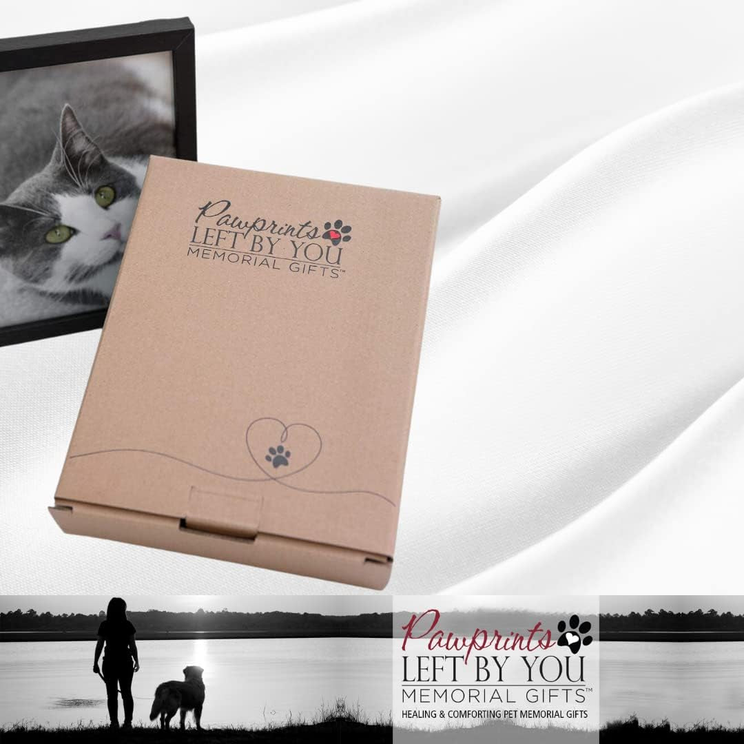 Pawprints Pet Memorial 5" X 7" Frame for Cats with Pawprints Left by You Poem (Frame with Ash Vial) - Beautiful Sympathy Gift to Remember a Beloved Cat - Pet Loss/Bereavement