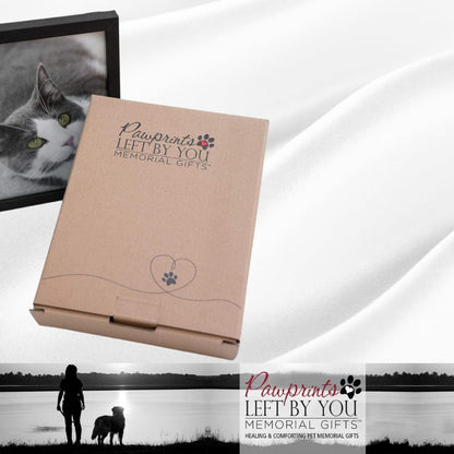 Pawprints Pet Memorial 5" X 7" Frame for Cats with Pawprints Left by You Poem (Frame with Ash Vial) - Beautiful Sympathy Gift to Remember a Beloved Cat - Pet Loss/Bereavement