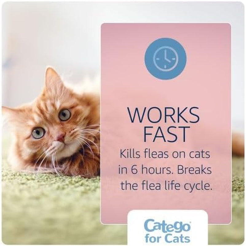 Fast-Acting Flea and Tick Treatment for Cats/Kittens (Over 1.5 Lbs) Kills Fleas within 6 Hours, Prevents Flea Re-Infestations