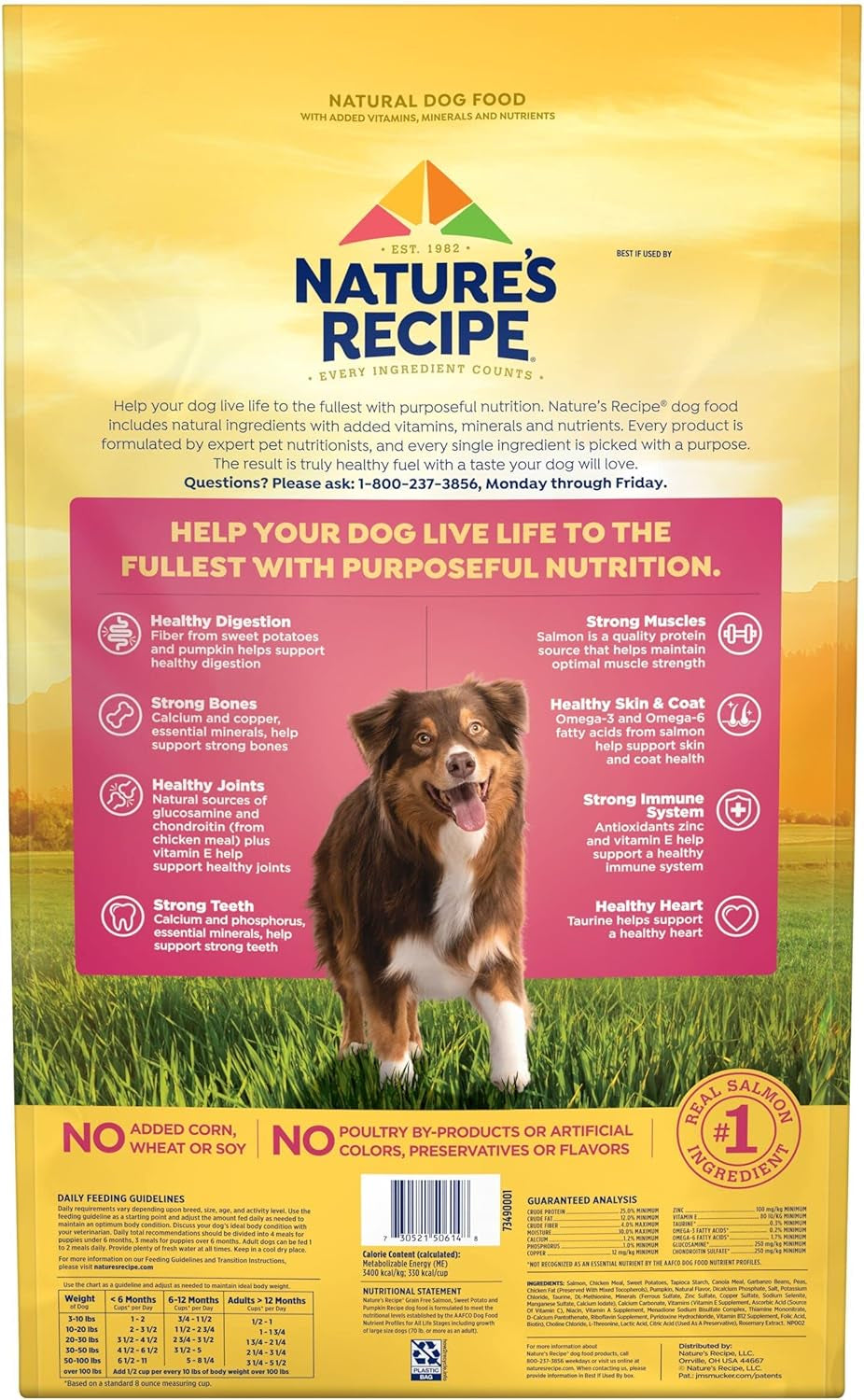 Nature'S Recipe Grain Free Dry Dog Food, Salmon, Sweet Potato & Pumpkin Recipe, 12 Pound Bag, Easy to Digest