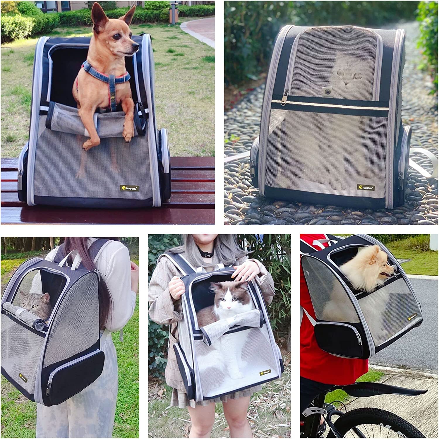 Texsens Pet Backpack Carrier for Small Cats Dogs | Ventilated Design, Safety Straps, Buckle Support, Collapsible | Designed for Travel, Hiking & Outdoor Use (Light Gray)