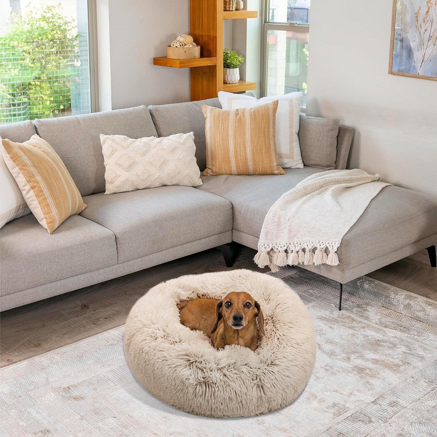 Best Friends by Sheri the Original Calming Donut Cat and Dog Bed in Shag Fur Baby Blue, Medium 30"