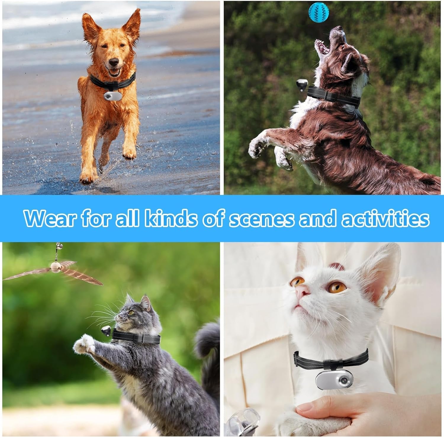 HD 1080P Cat Camera Collar with Video Record Wireless Mini Sport Cam,Small Action Cameras,Body Camera for Pet Supplies/Stuff,Outdoor/Inoor Birthday Gift No Wifi