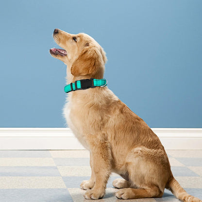 Reflective Dog Collar, Adjustable Soft Neoprene Padded Nylon Pet Collars with Buckle for Medium Dogs, Teal,M