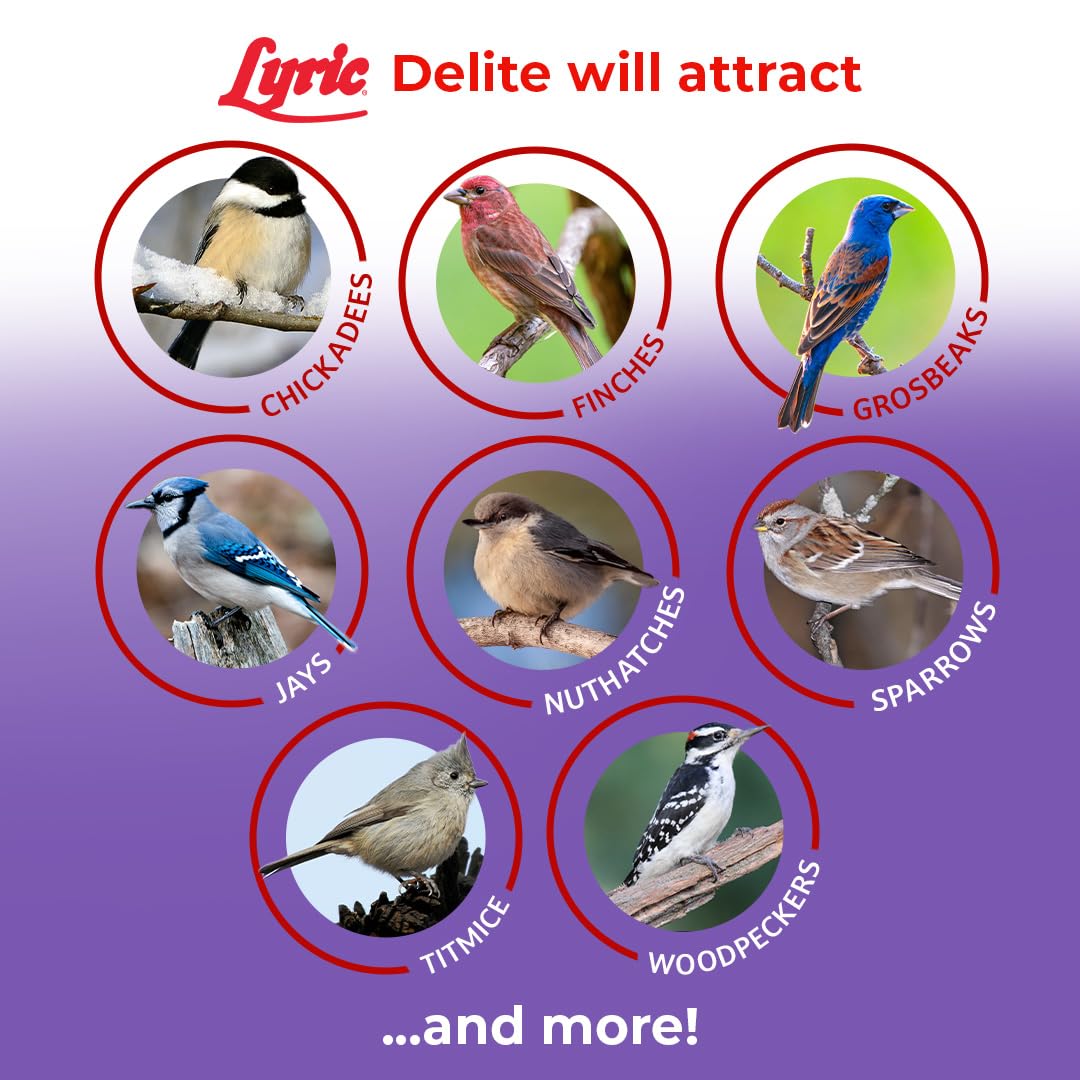 Lyric Delite Wild Bird Seed for Outside Feeders - No Waste Bird Food, Shell-Free Nuts & Seeds Mix, Attracts Buntings, Chickadees & Finches, 20 lb Bag