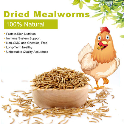 LuckyQworms 20lbs Mealworms, High-Protein Dried Mealworms for Birds, Chickens, Turtles, Fish, Hamsters and Hedgehogs, Non-GMO and Chemical Free, All Natural Animal Feed