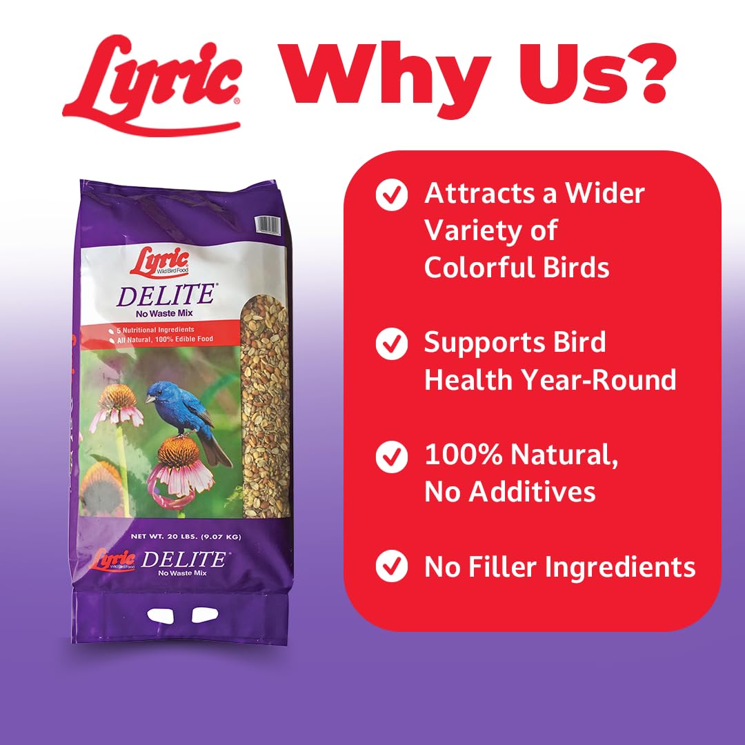 Lyric Delite Wild Bird Seed for Outside Feeders - No Waste Bird Food, Shell-Free Nuts & Seeds Mix, Attracts Buntings, Chickadees & Finches, 20 lb Bag