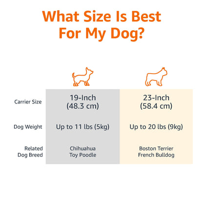 Amazon Basics Sturdy Portable 2-Door Top-Load Hard-Sided Pet Travel Carrier with Secure Ventilation, Handle, Front & Top Entry for Dogs, Cats, 22.8"L x 15"W x 13"H, Gray & Blue