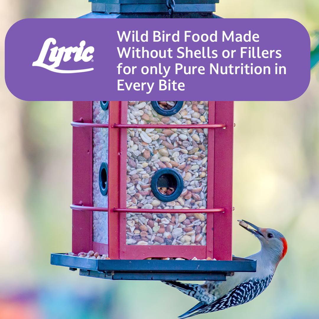 Lyric Delite Wild Bird Seed for Outside Feeders - No Waste Bird Food, Shell-Free Nuts & Seeds Mix, Attracts Buntings, Chickadees & Finches, 20 lb Bag