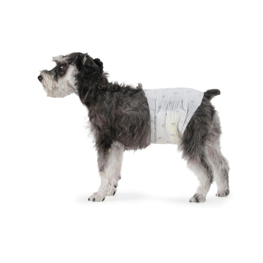 Amazon Basics Male Dog Diapers, Ultra Absorbent Disposable Wrap with Leak Proof Protection, Wetness Indicator, Secure Fit, Breathable, Medium, 30 Count