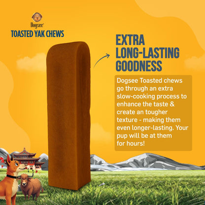 Dogsee Toasted Yak Cheese Himalayan Dog Chews (Medium - 4 Chews) | Extra Long-Lasting | Double Cooked for Extra Smoky Cheese Flavor | Rich in Protein & Calcium | Easy to Digest | for Cleaning Teeth