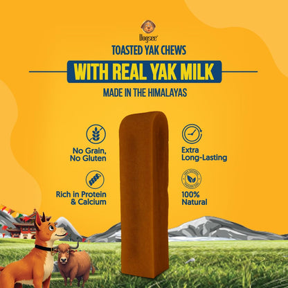 Dogsee Toasted Yak Cheese Himalayan Dog Chews (Medium - 4 Chews) | Extra Long-Lasting | Double Cooked for Extra Smoky Cheese Flavor | Rich in Protein & Calcium | Easy to Digest | for Cleaning Teeth