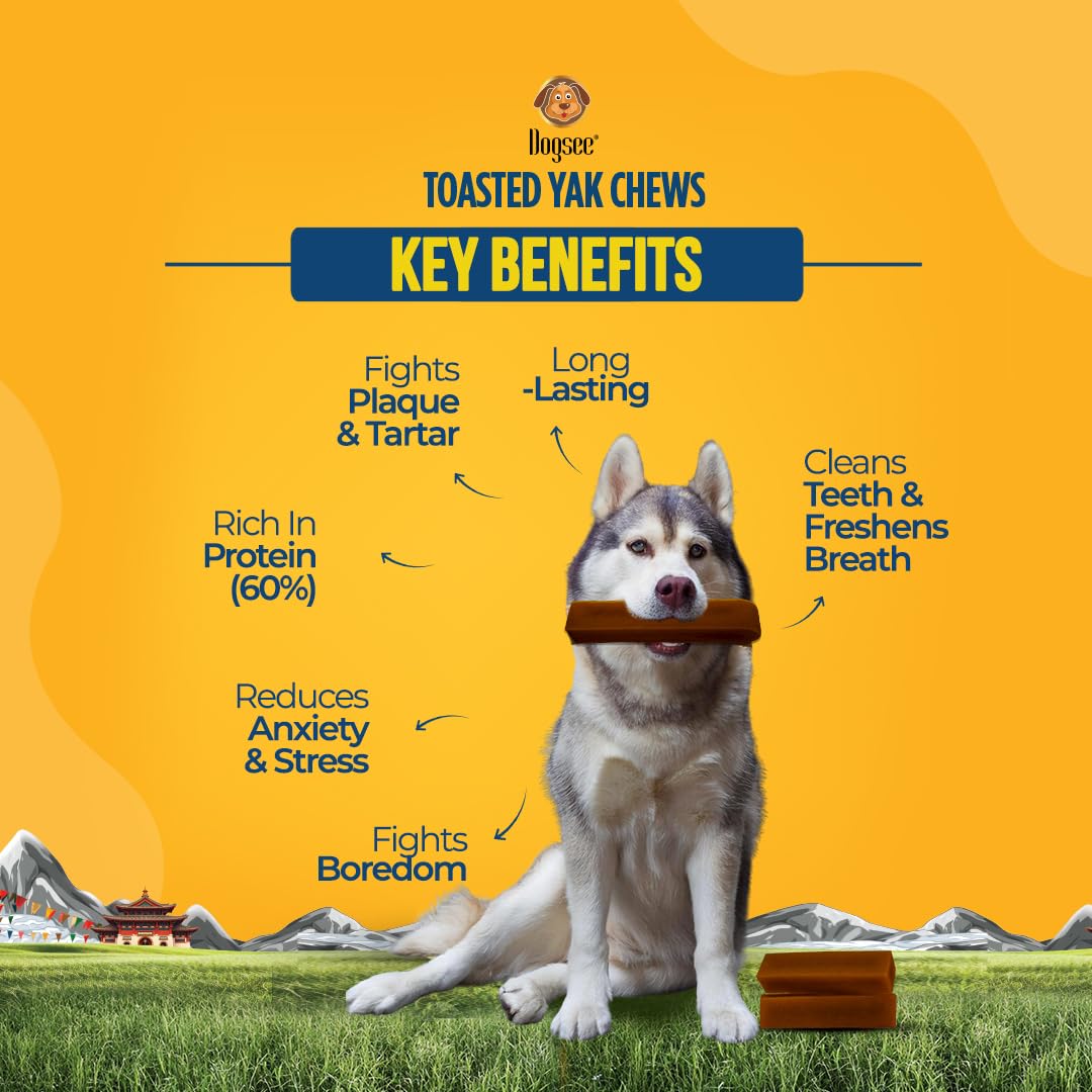 Dogsee Toasted Yak Cheese Himalayan Dog Chews (Medium - 4 Chews) | Extra Long-Lasting | Double Cooked for Extra Smoky Cheese Flavor | Rich in Protein & Calcium | Easy to Digest | for Cleaning Teeth