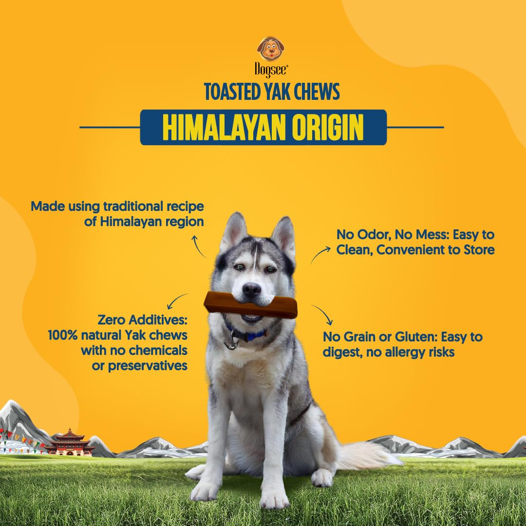 Dogsee Toasted Yak Cheese Himalayan Dog Chews (Medium - 4 Chews) | Extra Long-Lasting | Double Cooked for Extra Smoky Cheese Flavor | Rich in Protein & Calcium | Easy to Digest | for Cleaning Teeth