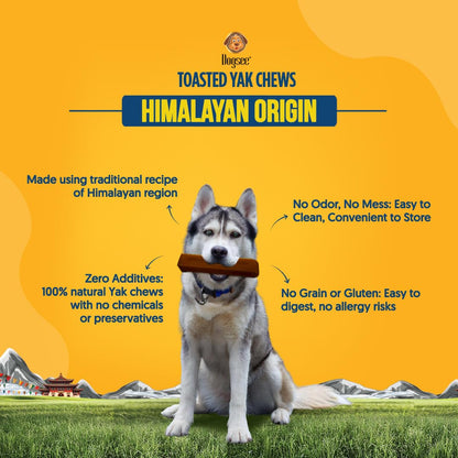 Dogsee Toasted Yak Cheese Himalayan Dog Chews (Medium - 4 Chews) | Extra Long-Lasting | Double Cooked for Extra Smoky Cheese Flavor | Rich in Protein & Calcium | Easy to Digest | for Cleaning Teeth