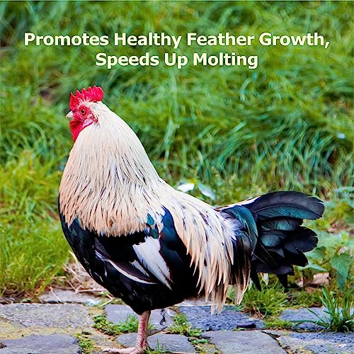 WORMSKING 10LB Dried Black Soldier Fly Larvae, More Calcium Than Dried Mealworms, High Protein Chicken Feed, Poultry Treat