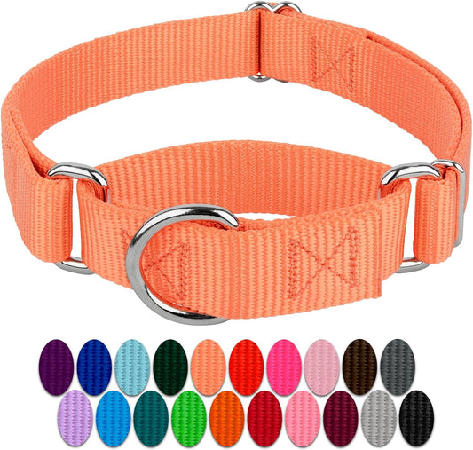 Country Brook Petz - Mango Martingale Heavy Duty Nylon Dog Collar - 21 Vibrant Color Options (1 Inch Width, Extra Large)