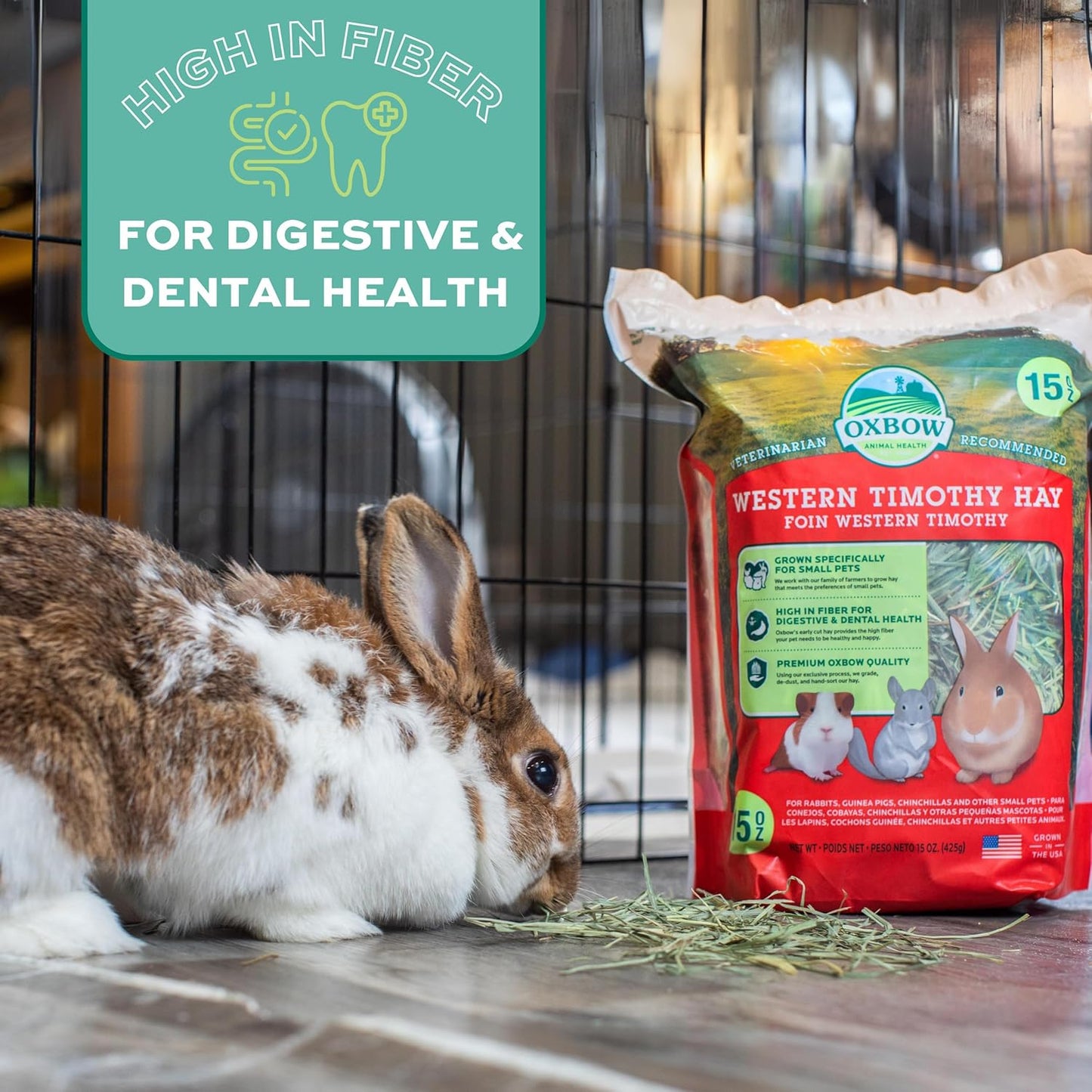 Oxbow Animal Health Western Timothy Hay - All Natural Hay for Rabbits, Guinea Pigs, Chinchillas, Hamsters & Gerbils-Veterinarian Recommended- Digestive & Dental Health- Grown in the USA- 9lb.