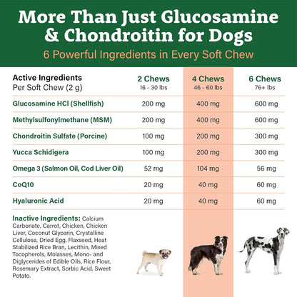 Doggie Dailies Glucosamine for Dogs – 120 Chews – Dog Joint Supplement with Chondroitin, Green Lipped Mussel, Turmeric & Bioprine - Premium Senior Dog Supplements to Help Keep Your Dog Active