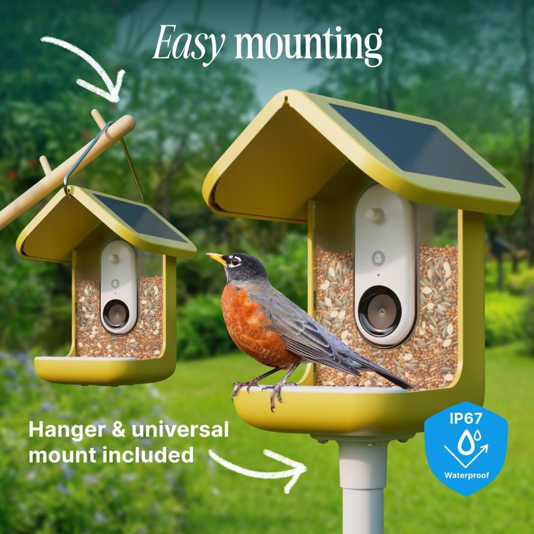 BIRD BUDDY® Original Smart Bird Feeder with Camera. High Resolution AI Camera for Beautiful Close-up Shots and a Unique Bird Watching Experience (Yellow, Bird Buddy with Solar Roof)