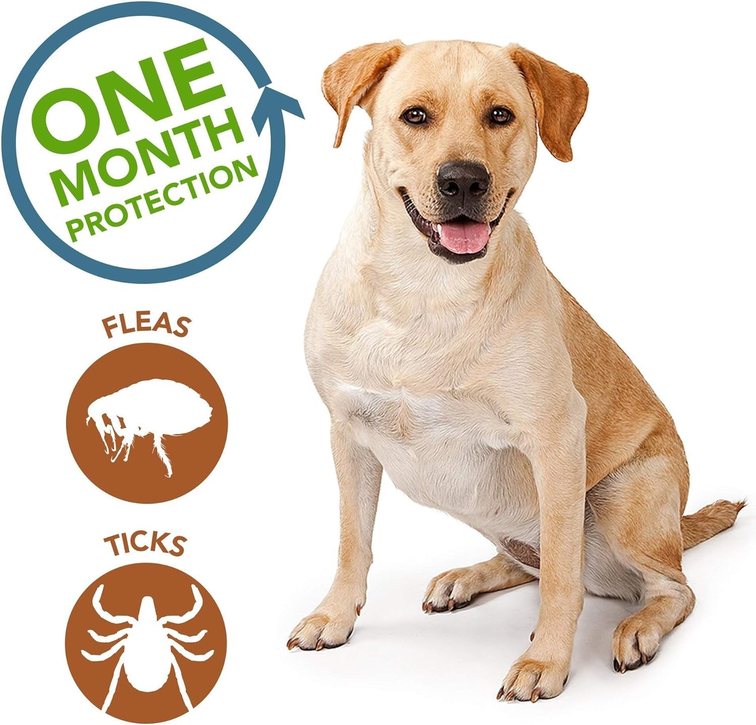 Vet'S Best Flea & Tick Spot-On Drops - Topical Flea & Tick Prevention for Dogs - Plant-Based Formula - Certified Natural Oils - for Medium Dogs - 4 Mo Supply