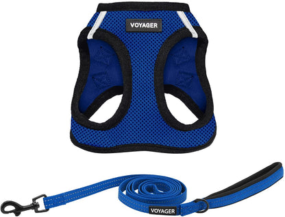 Voyager Step-In Air All Weather Mesh Harness and Reflective Dog 5 Ft Leash Combo with Neoprene Handle, for Small, Medium and Large Breed Puppies by Best Pet Supplies - Royal Blue/Black Trim, Medium