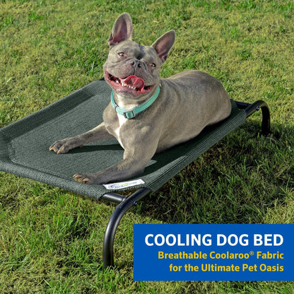 COOLAROO the Original Cooling Elevated Dog Bed, Indoor and Outdoor, Medium, Grey