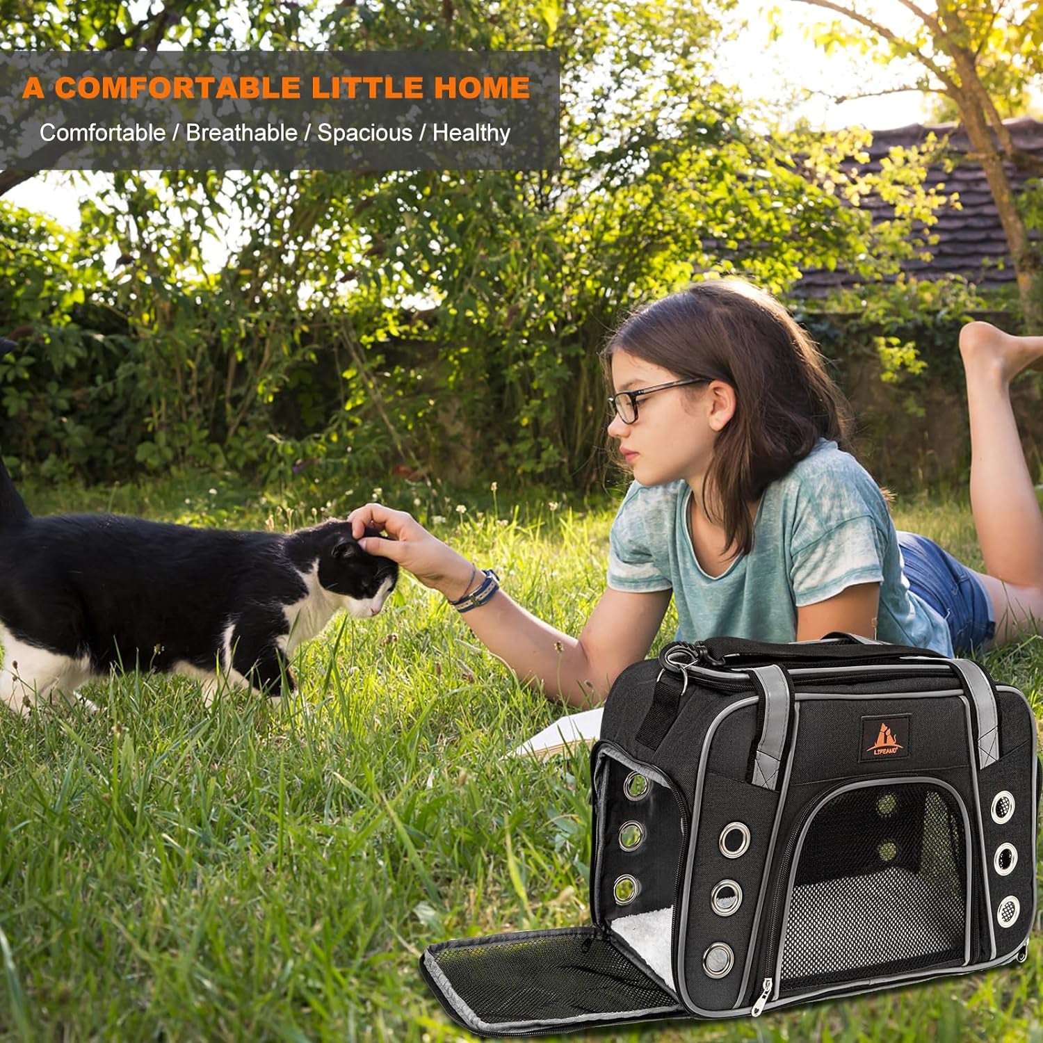 Lifeand Cat Carrier for Large and Medium Cats under 18Lb, Collapsible Soft Sided Pet Carrier, Dog Carrier, Airline Approved for Cats, Small Dogs, Kitten, Pet Privacy Protection Travel Carrier