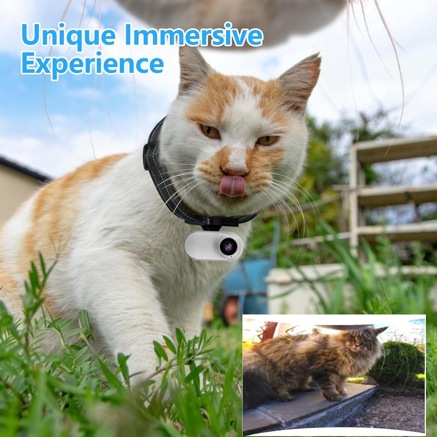 HD 1080P Cat Camera Collar with Video Record Wireless Mini Sport Cam,Small Action Cameras,Body Camera for Pet Supplies/Stuff,Outdoor/Inoor Birthday Gift No Wifi