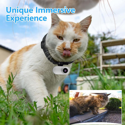 HD 1080P Cat Camera Collar with Video Record Wireless Mini Sport Cam,Small Action Cameras,Body Camera for Pet Supplies/Stuff,Outdoor/Inoor Birthday Gift No Wifi
