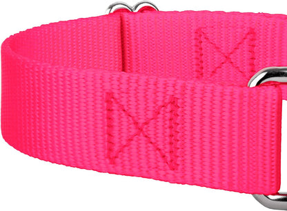 Country Brook Petz - Hot Orange Martingale Heavy Duty Nylon Dog Collar - 21 Vibrant Color Options (3/8 Inch Width, Micro)
