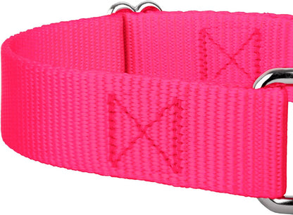 Country Brook Design - Mango Martingale Heavy Duty Nylon Dog Collar - 21 Vibrant Color Options (3/4 Inch Width, Small)