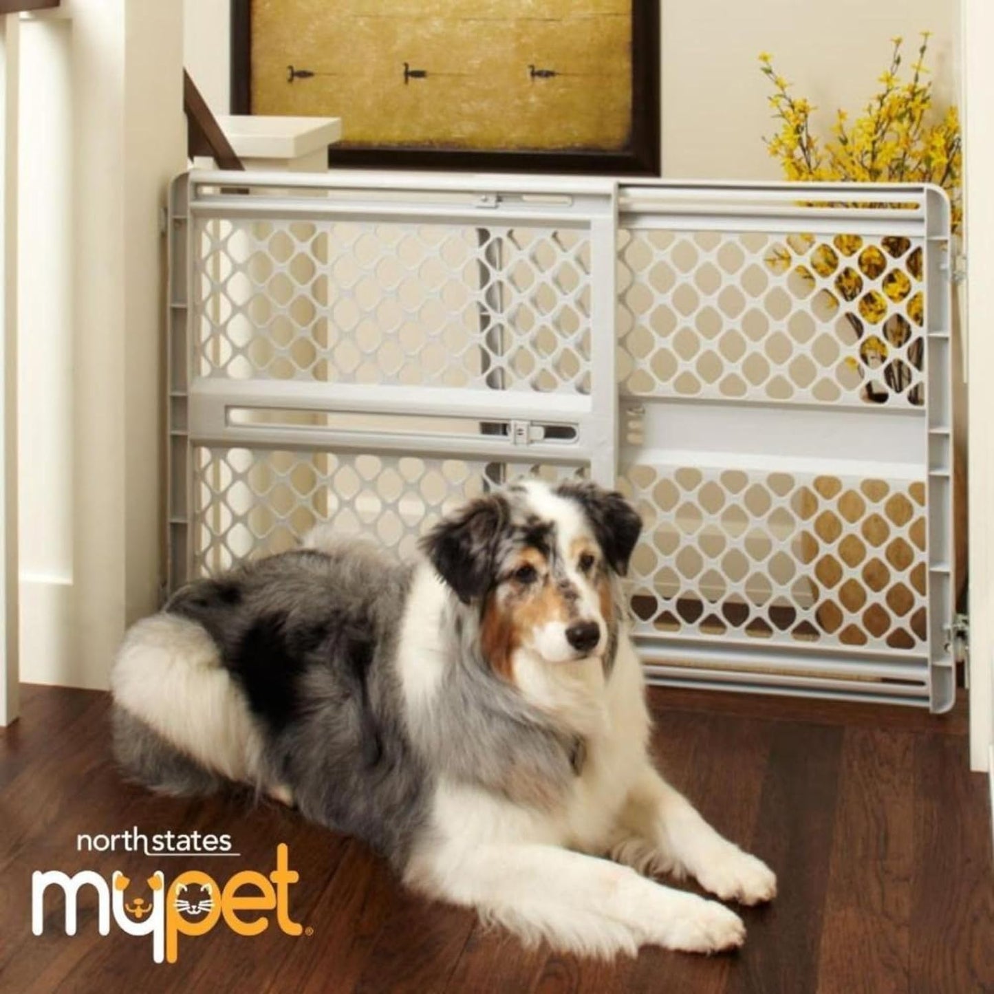 MYPET North States Universal Pet Gate: 26” - 42” Wide Dog Gate. Use as Pressure Mounted Gate or Swinging Door with Included Hardware. Dog Gates for Doorways, 26" Tall, Gray