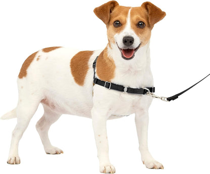 Petsafe Easy Walk No-Pull Dog Harness - the Ultimate Harness to Help Stop Pulling - Take Control & Teach Better Leash Manners - Helps Prevent Pets Pulling on Walks - Small, Black/Silver