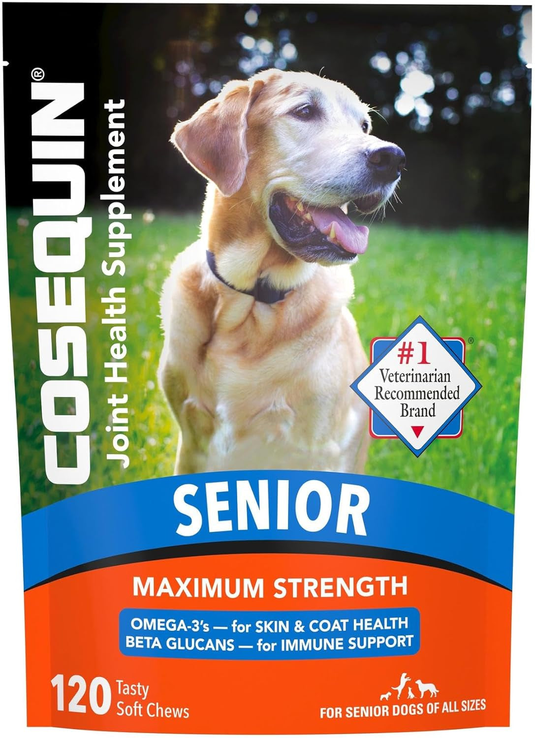 Cosequin Nutramax Senior Joint Health Supplement for Senior Dogs - with Glucosamine, Chondroitin, Omega-3 for Skin and Coat Health and Beta Glucans for Immune Support, 120 Soft Chews