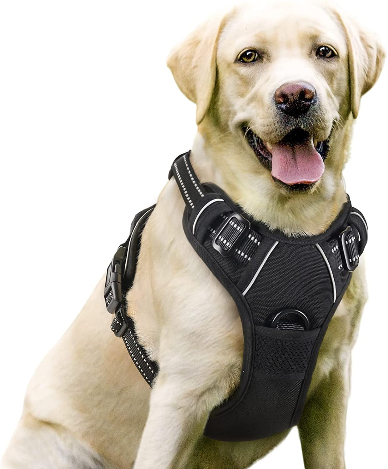 Rabbitgoo Dog Harness, No-Pull Pet Harness with 2 Leash Clips, Adjustable Soft Padded Dog Vest, Reflective No-Choke Pet Oxford Vest with Easy Control Handle for Large Dogs, Black, L