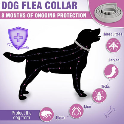 Flea Collar for Dogs 4 Pack Flea and Tick Collar for Dogs 8 Months Long-Term Protection Natural Tick Collar for Dogs Waterproof Adjustable Size Dog Flea Collar Suitable for Small Medium and Large Dog