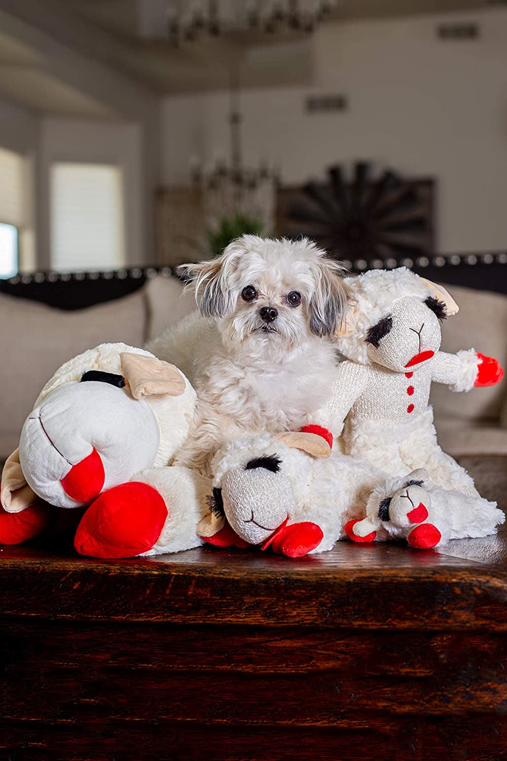 Multipet Rainbow Lamb Chop Plush Dog Toy, Medium, 10.5"