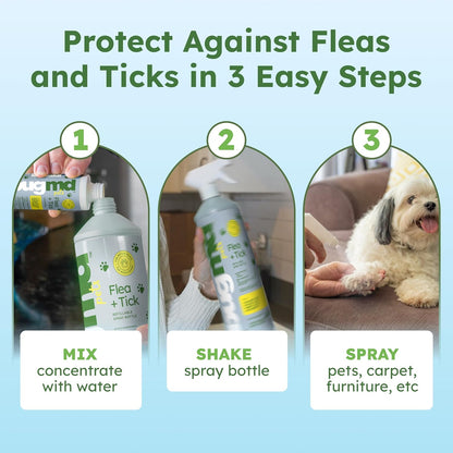 Bugmd Flea and Tick Concentrate (3.7 Oz, 2 Pack)- Essential Oil-Powered Formula, Controls Fleas, Ticks, Mites in Dogs, Cats, and Other Furred Animals, Spray on Pet Beds, Kennels